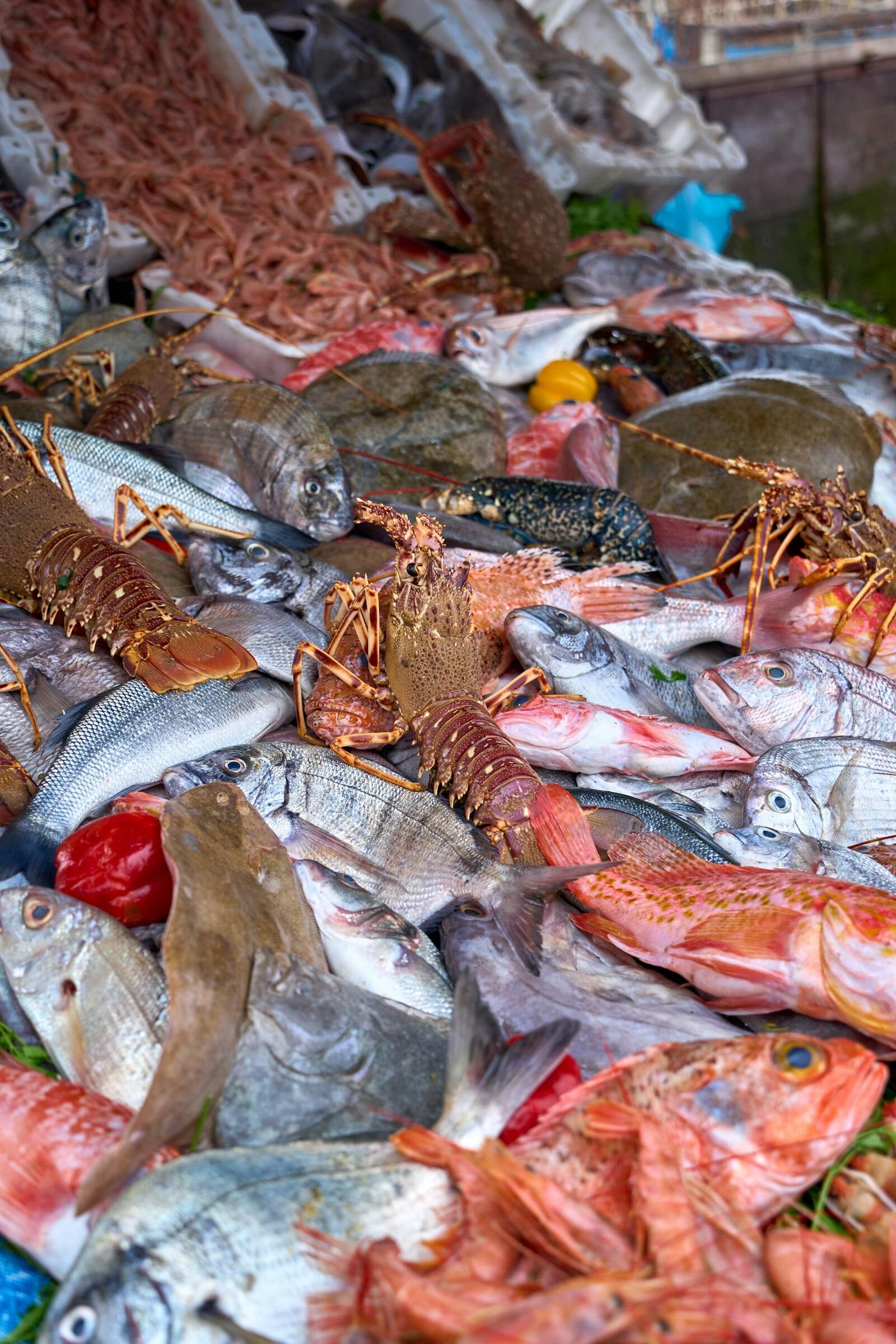 Fresh fish counter at Souk El Had market in Agadir, Morocco