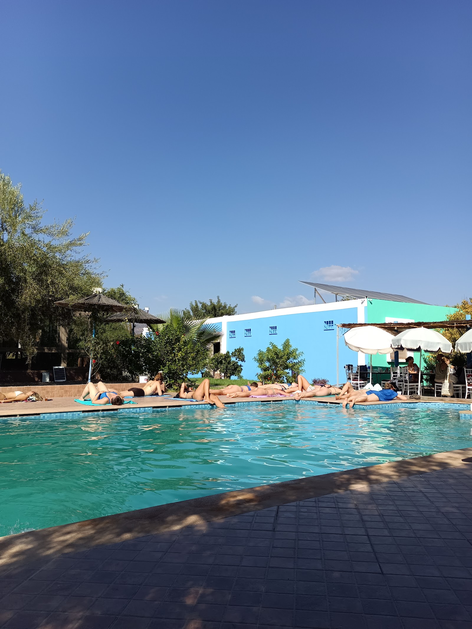 Surf Coast Morocco - Surf & Yoga House — photo 3