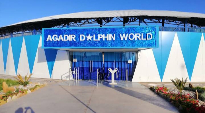 Agadir Dolphin World — photo 5