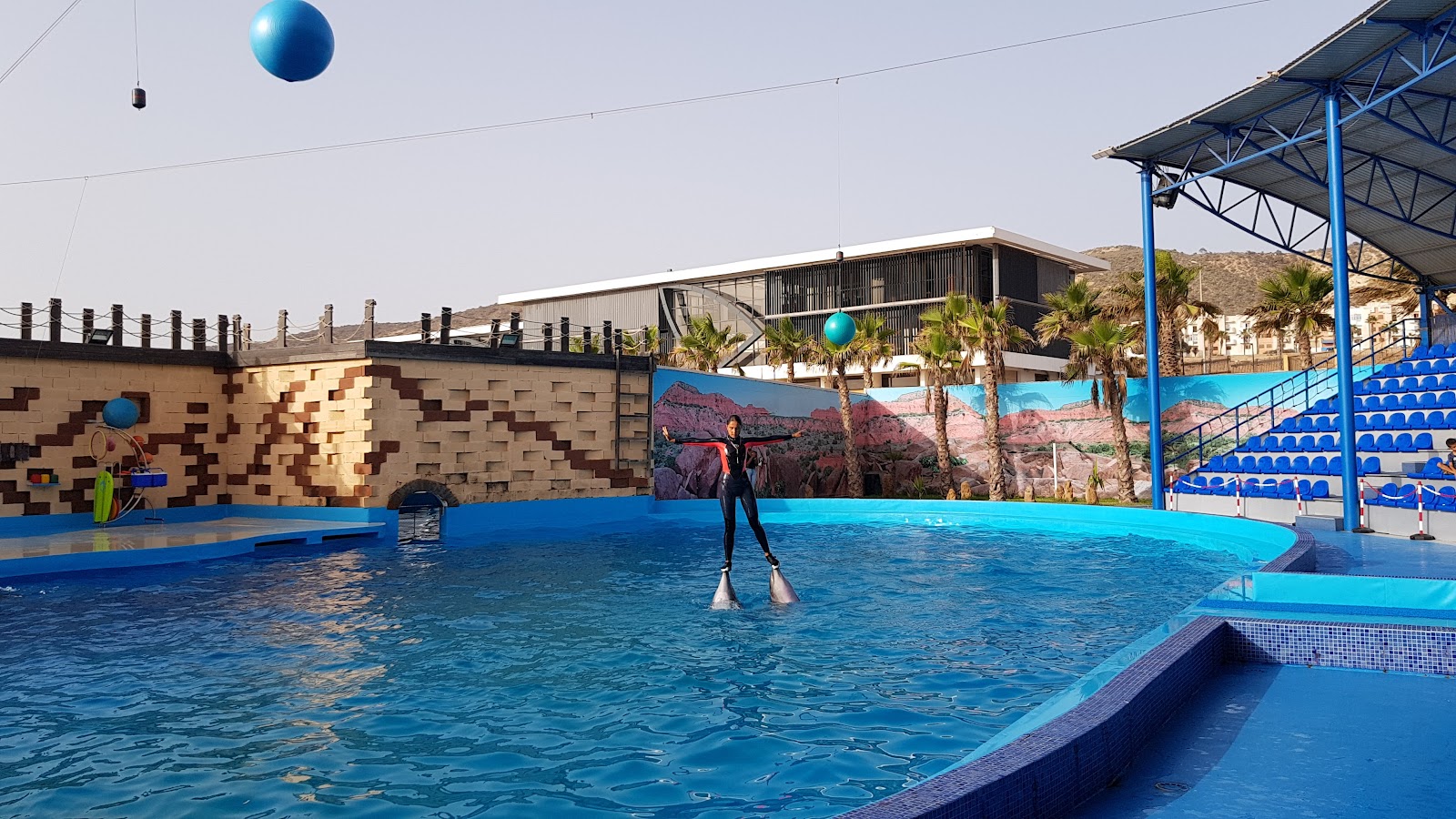 Agadir Dolphin World — photo 2