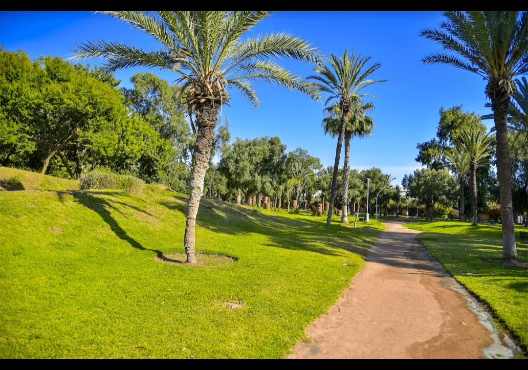 Jardin Olhao Agadir — photo 3