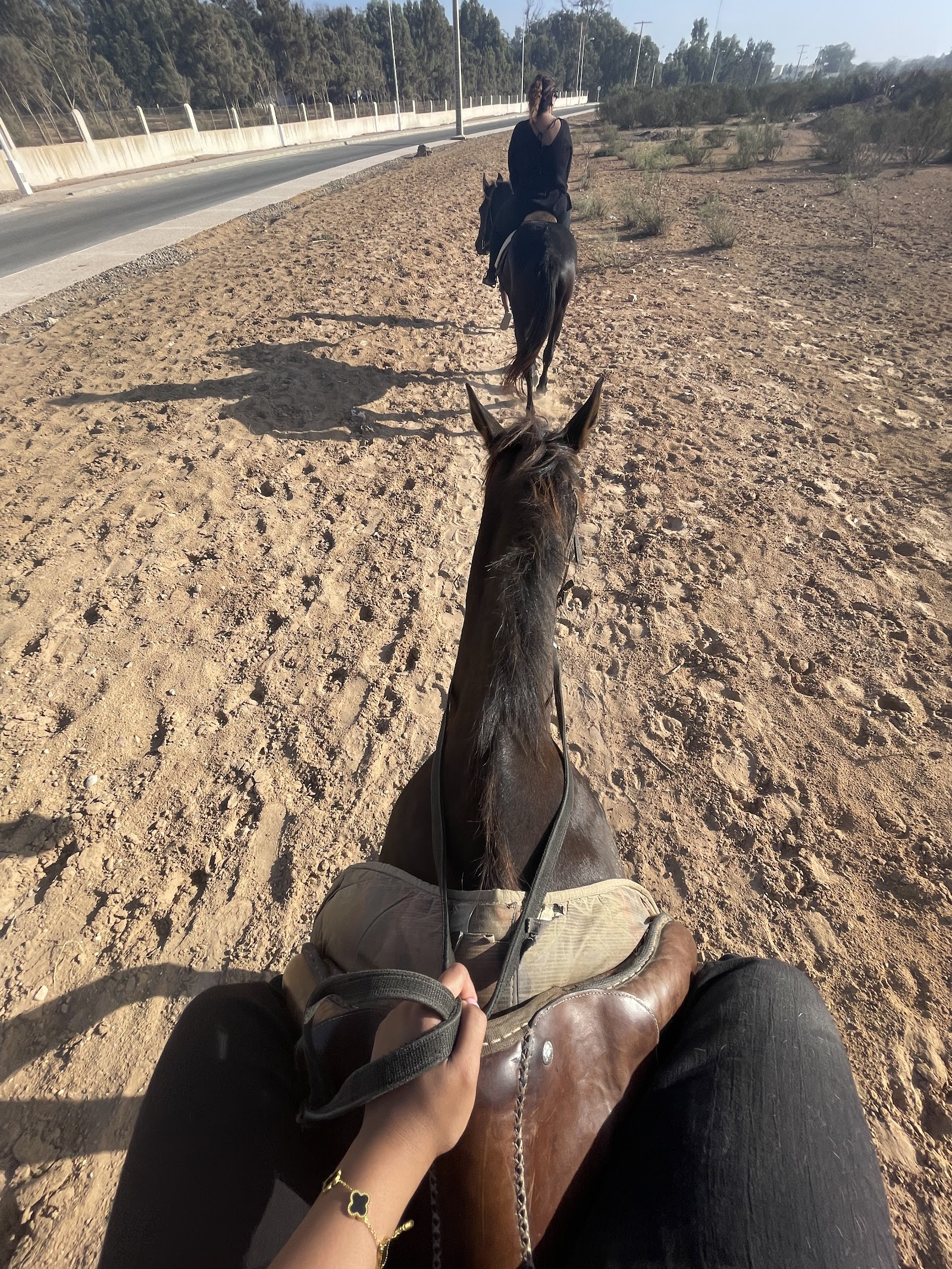 Agadir camel & horse riding — photo 3