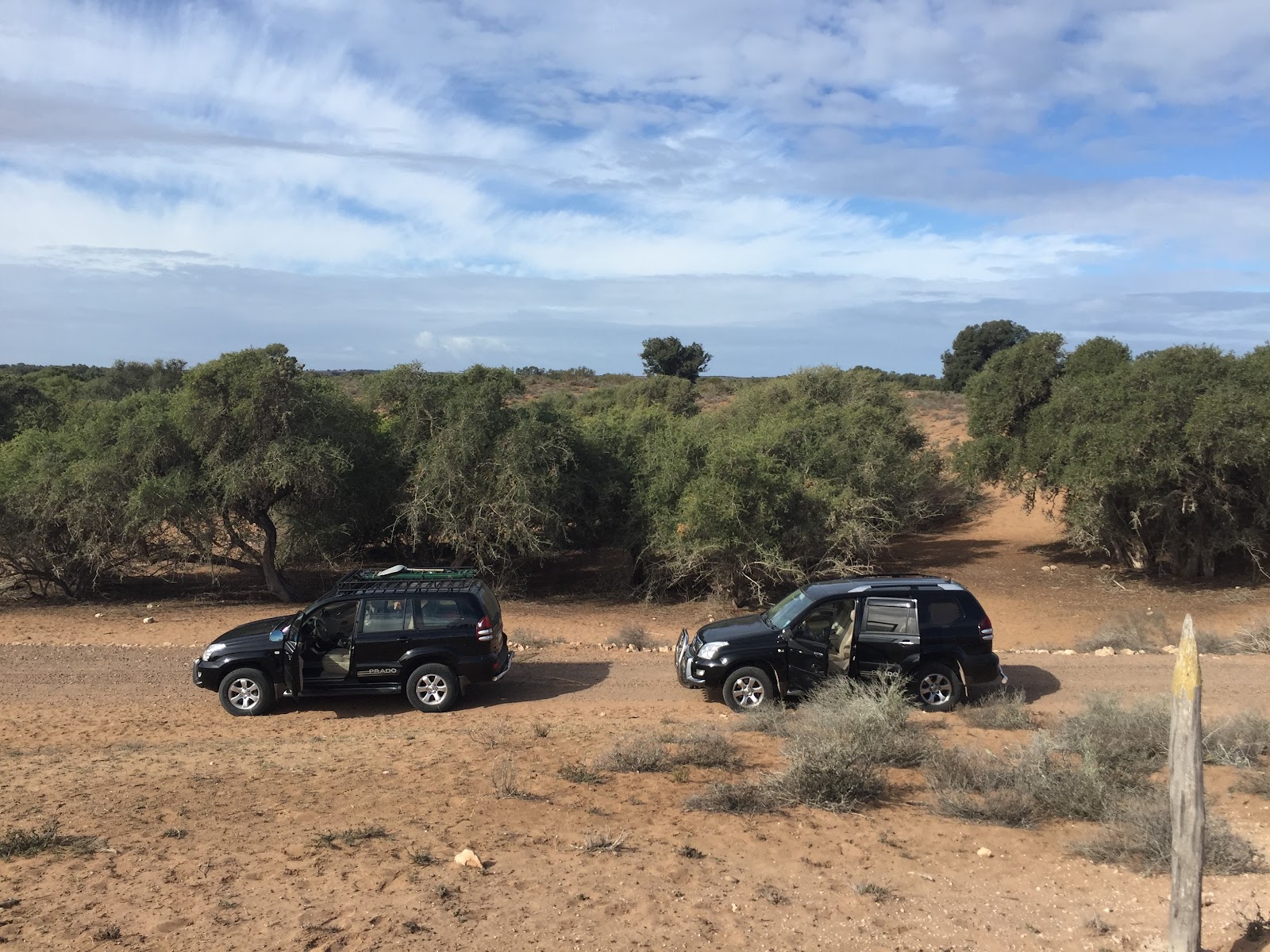 Souss-Massa National Park — photo 2
